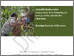 [thumbnail of REDD+_Report_Emalu_Biodiversity_Assessment.pdf]