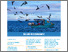 [thumbnail of DAWN-Informs-on-Blue-Economy_2020-3.pdf]