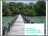 [thumbnail of inclusive-development-in-solomon-islands-unlocking-the-potential-of-developmental-leadership.pdf]