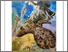 [thumbnail of Veitalanoa-USP Climate Wayfinders and East-West Center.pdf]