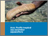 [thumbnail of Marine_tenure_and_the_role_of_marine_protected_areas_for_sea_cucumber_grow-out_in_the_Pacific_region.pdf]