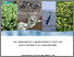 [thumbnail of Value_adding_and_supply_chain_development_for_fisheries_and_aquaculture_products_in_Fiji_Samoa_and_Tonga-seagrapes_post-harvest_and_value_addition_in_Fiji-progress_report.pdf]