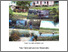 [thumbnail of The_Namara_Tiri_squatter_settlement_in_Labasa_An_in-depth_Study.pdf]