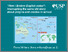 [thumbnail of Bislama_hem_i_broken_english_nomo_-_interrupting_the_same_old_story_about_pidgins_in_the_classroom.pdf]